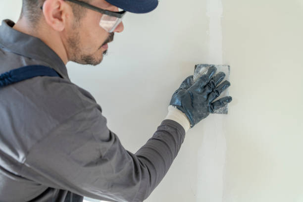 Best Black Mold Removal  in Moon Lake, FL