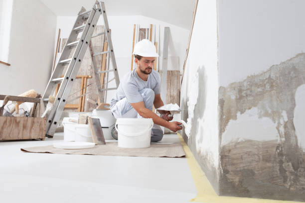 Moon Lake, FL Mold Removal Company