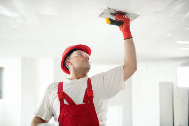 Mold Removal for HVAC Installations in Moon Lake, FL