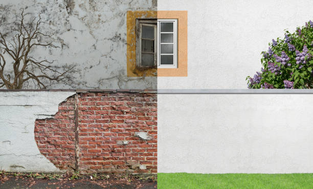Best Mold Removal for HVAC Installations  in Moon Lake, FL