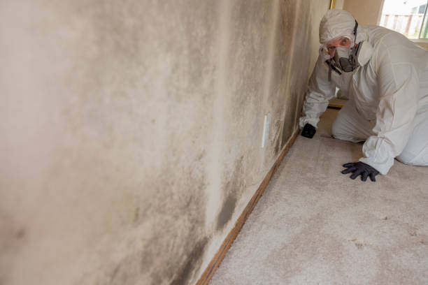 Best Airborne Mold Testing  in Moon Lake, FL